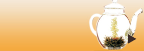 Flores magicas de t�