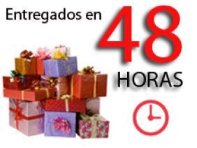 Entrega en 48 horas