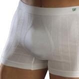 Boxer deporte evoluci�n con iniciales