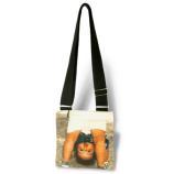 Mochila mensajer�a