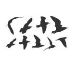 Vinilo adhesivo vuelo de p�jaros