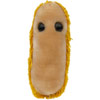 Gastritis