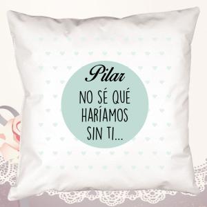 Cojín No sé qué haríamos sin ti personalizado
