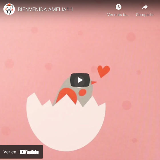 Vídeo Canastilla para bebé personalizada