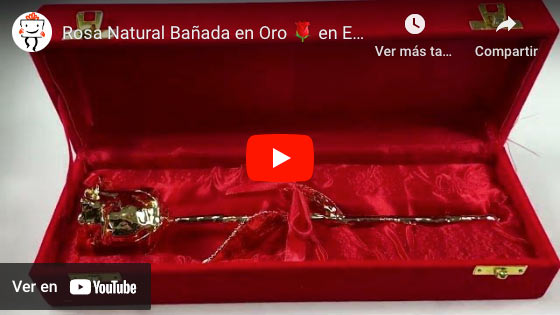 Vídeo Rosa de oro grabada