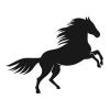 Caballo