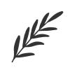 Planta