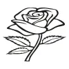Rosa