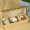 Caja de 3 bombas de semillas