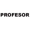 Profesor