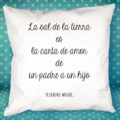Coj&iacute;n personalizado con tus frases c&eacute;lebres