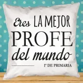 Coj&iacute;n personalizado mejor profe