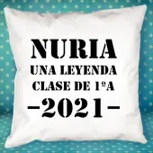 Coj&iacute;n personalizado 'Una leyenda' para profesores