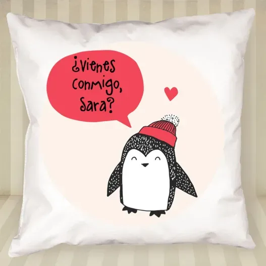 Coj&iacute;n personalizado divertido (Idea de regalo original)
