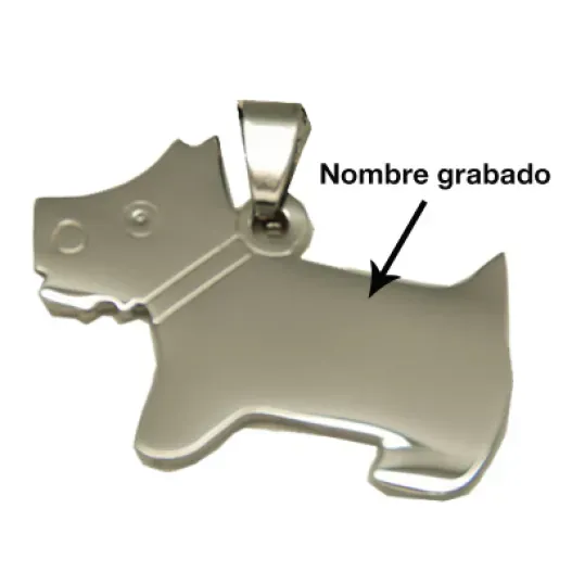 Placa identificativa para perro (Foto de catálogo)