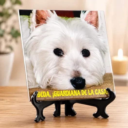 Azulejos personalizados (Idea de regalo original)