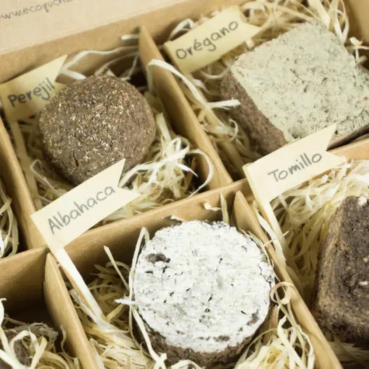 Bombas de semillas con tarjeta personalizada (Detalle de presentación)