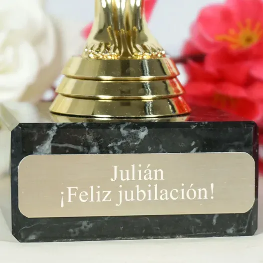 Estatua &Oacute;scar personalizada para jubilaci&oacute;n (Vista alternativa)
