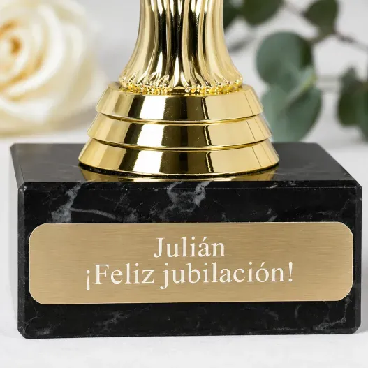 Estatua &Oacute;scar personalizada para jubilaci&oacute;n (Idea de regalo original)