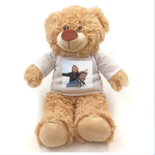 Osito de peluche con foto (Idea de regalo original)