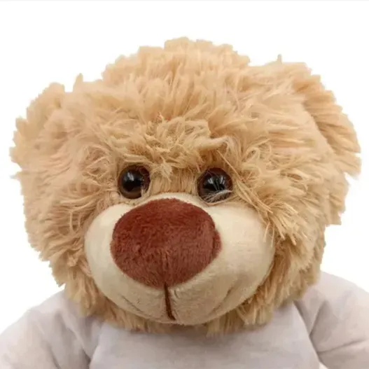 Osito de peluche con foto (Vista alternativa)