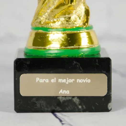 Trofeo copa del mundo personalizada (Idea de regalo original)