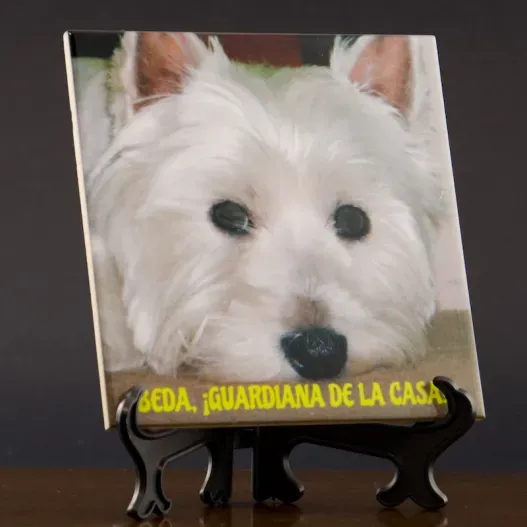 Azulejos personalizados (Idea de regalo original)