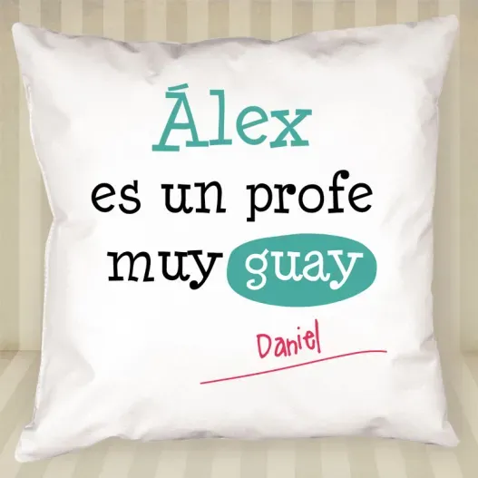 Coj&iacute;n personalizado profe guay (Idea de regalo original)