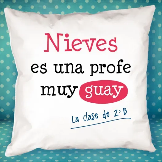 Coj&iacute;n personalizado profe guay (Detalle de presentación)