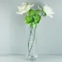 Regalos personalizados: Cristaler&iacute;a personalizada: Jarr&oacute;n personalizado para mujer