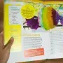 Regalos personalizados: Regalos con nombre: Libro &iquest;A qu&eacute; jugamos, abuel@? con tarjeta con foto