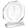 Regalos personalizados: Dise&ntilde;o y decoraci&oacute;n: Trofeo de cristal personalizado
