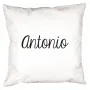 Regalos personalizados: Dise&ntilde;o y decoraci&oacute;n: Coj&iacute;n personalizado con nombre