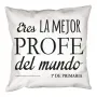 Regalos personalizados: Dise&ntilde;o y decoraci&oacute;n: Coj&iacute;n personalizado mejor profe