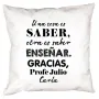 Regalos personalizados: Dise&ntilde;o y decoraci&oacute;n: Coj&iacute;n personalizado 'Saber ense&ntilde;ar'