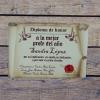 Diploma pergamino al mejor profesor del año: Diploma pergamino al mejor profesor del año