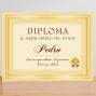 Regalos personalizados: Dise&ntilde;o y decoraci&oacute;n: Diploma personalizado