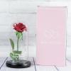 Regalos con nombre: Rosa eterna personalizada