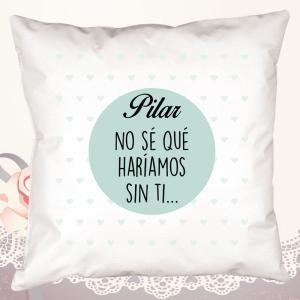 Cojín No sé qué haríamos sin ti personalizado