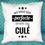 Regalos personalizados: Dise&ntilde;o y decoraci&oacute;n: Coj&iacute;n personalizado 'No solo soy perfecto'