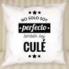 Diseño y decoración: Cojín personalizado 'No solo soy perfecto'