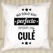 Cojín personalizado 'No solo soy perfecto'