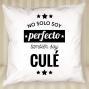 Regalos personalizados: Dise&ntilde;o y decoraci&oacute;n: Coj&iacute;n personalizado 'No solo soy perfecto'