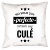 Diseño y decoración: Cojín personalizado 'No solo soy perfecto'