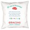 Diseño y decoración: Cojín personalizado para profe
