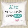 Diseño y decoración: Cojín personalizado profe guay Diseño y decoración: Cojín personalizado profe guay