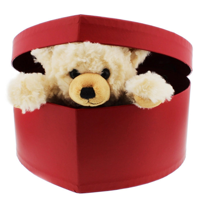 peluches con nombre grabado