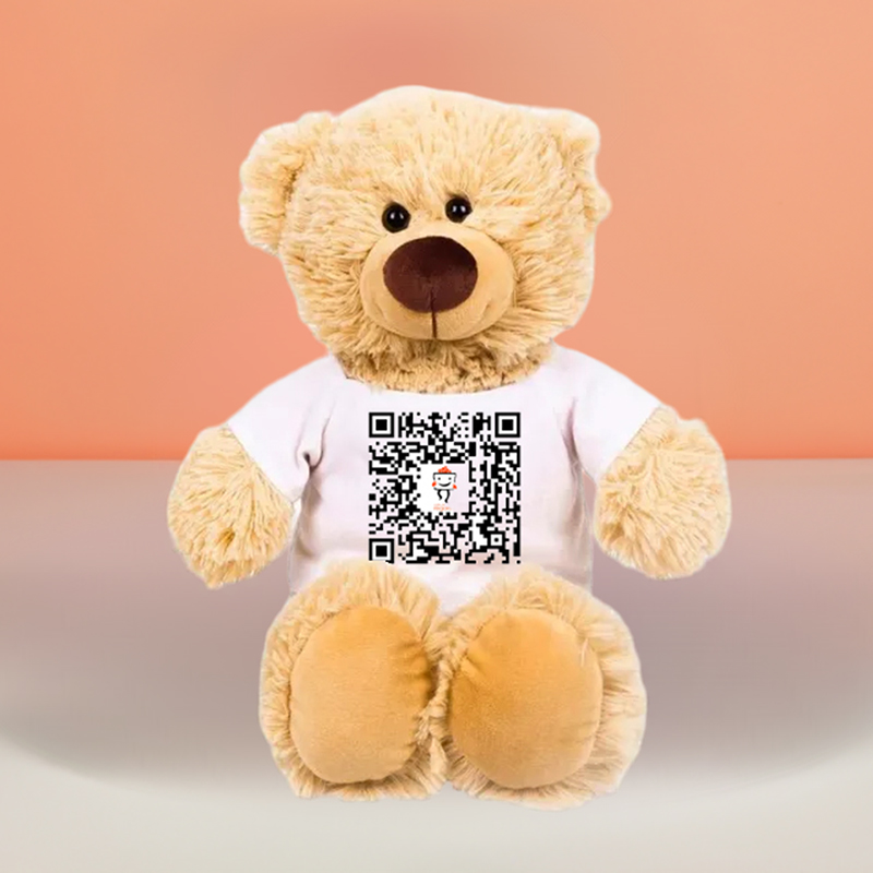 Regalos personalizados: Regalos con fotos: Canci&oacute;n personalizada en osito de peluche