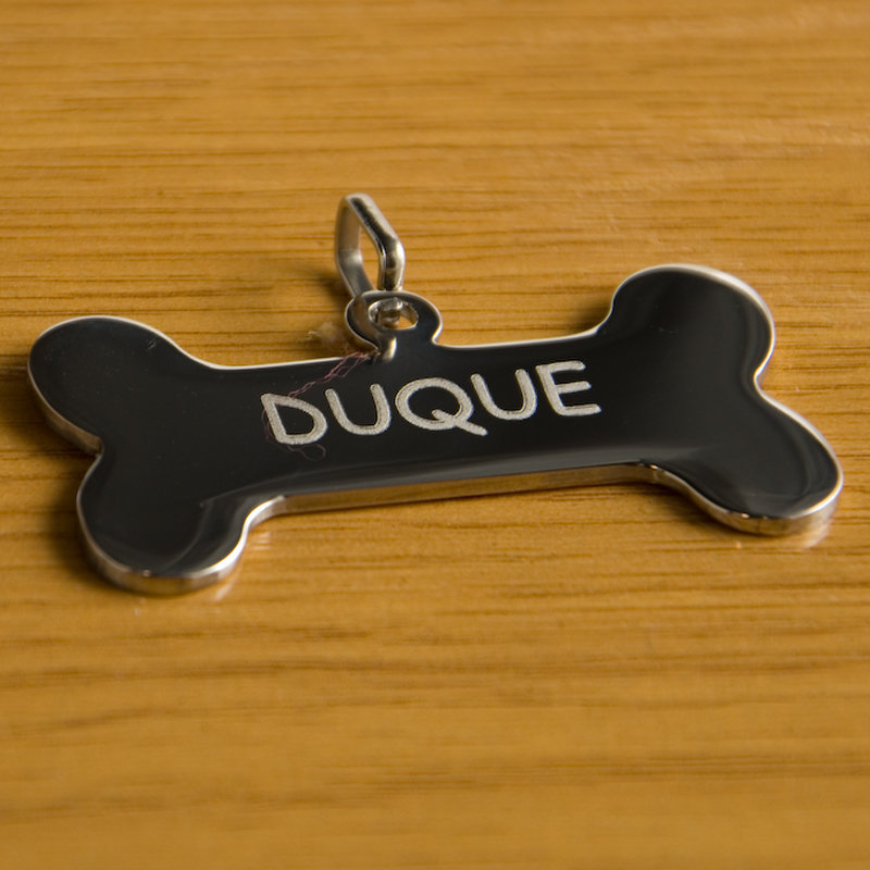 Regalos personalizados: Regalos con nombre: Placa identificativa para perro