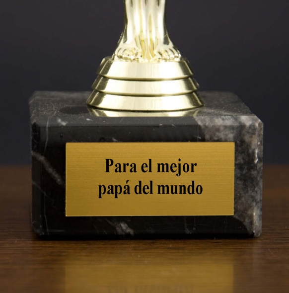 Regalos con nombre: Estatua Óscar personalizable Regalos con nombre: Estatua Óscar personalizable